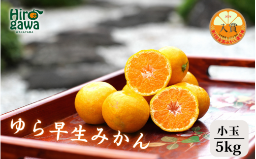 ▼由良早生みかん 5kg (小玉)※11月上旬〜順次発送予定 【tkn004-s-5】和歌山県広川町10000果物・フルーツみかん・柑橘類