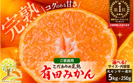 有田 みかん 訳あり 5kg 光センサー 選別 / 温州みかん 有田みかん 甘い 家庭用 和歌山 柑橘 ※11月順次発送 ※北海道・沖縄・離島への配送不可【nuk004-c-5-novD】和歌山県広川町13000果物・フル
