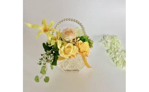 ̓̑蕨 vU[uht[ VCECG[yt[X|bgx[Yz̓ 蕨 Mtg CeA    AWg KN o F CG[ r^~