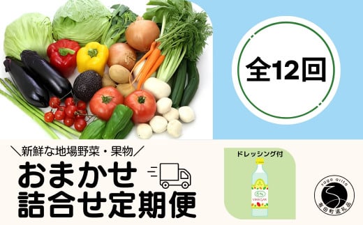 【12回定期便】新鮮な地場 野菜・果物 おまかせ詰合せ(ドレッシング付)12回 定期便 JA伊万里 F120-1佐賀県有田町120000野菜・きのこその他 野菜