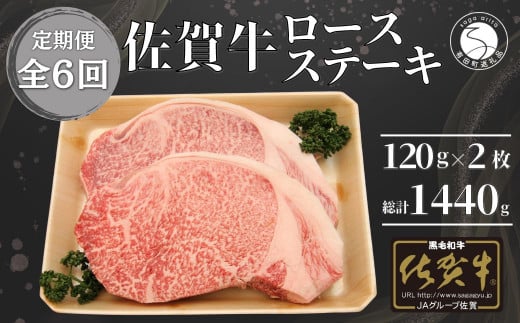 y6 v1440gzꋍ [XXe[L 120g×2 N90-1ꌧLc90000