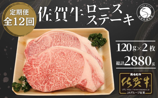 【12回定期便 総計2880g】佐賀牛 ロースステーキ 120g×2枚 N220-2佐賀県有田町220000肉牛肉