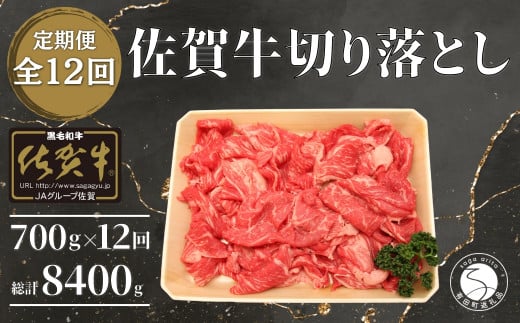 y12 v8400gzyꋍz؂藎Ƃ700g N300-5ꌧLc300000