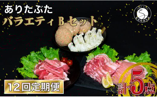 【12回定期便 豚肉5種セット】 ありたぶた バラエティBセット (豚肉5種) 12回 定期便 小分け 真空パック 豚肉 ロース バラ モモ もも 赤身 ハンバーグ 餃子 N120-10佐賀県有田町120000肉豚肉