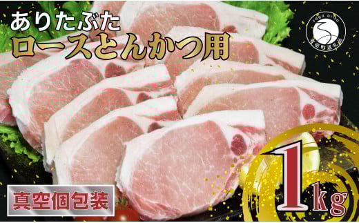 yv1kg ^pbNz肽Ԃ [X Ƃ񂩂p 1kg (1100g×10pbN)  ^pbN ؓ N12-12ꌧLc12000ؓ