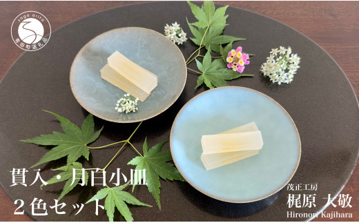 有田焼 貫入月白小皿 2色セット【梶原大敬 茂正工房】器 うつわ 食器 皿 取皿 小皿 菓子皿 2枚 セット ペア 青磁 貫入 青 夏 上品 シンプル 作家 ろくろ 電子レンジ対応 A15-296佐賀県有田町15000