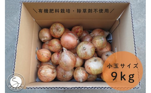 【小玉サイズたまねぎ約9キロ】有機肥料栽培・除草剤不使用 輝ファーマーズ 玉ねぎ 9kg たまねぎ 小ぶり お料理 F12-35佐賀県有田町12500野菜・きのこ玉ねぎ・ねぎ