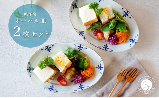 有田焼 オーバル皿 2枚セット【皓洋窯】食器 器 うつわ 楕円皿 パスタ皿 朝食 プレート ギフト プレゼント A30-545佐賀県有田町30000雑貨・日用品食器・グラス
