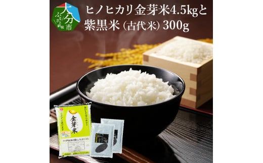 ヒノヒカリ金芽米4.5kgと紫黒米(古代米)300g 米 白米 丹川 無洗米 ヘルシー セット 美味しい ご飯 栄養 健康 B01013大分県大分市15000米・パン白米