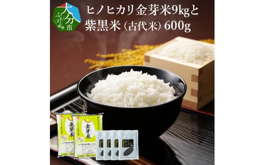 ヒノヒカリ金芽米9kgと紫黒米(古代米)600g 丹川 無洗米 ヘルシー 大分県 美味しい ご飯 栄養 健康 B01014大分県大分市28000米・パン白米