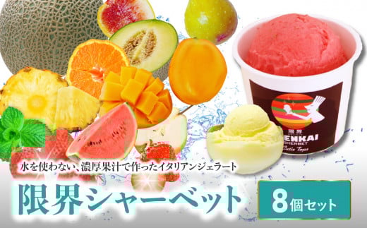 限界シャーベット 8個セット 水不使用 フルーツ ジェラート アイス シャーベット 冷凍 大分県 季節 果物 デザート J06005大分県大分市21000菓子・スイーツアイス・ジェラート