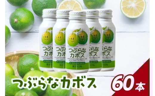 つぶらなカボス 2ケース 大分県 夏みかん つぶ入り 飲みやすい 果肉 さわやか はちみつ ジュース ご当地 ドリンク 果汁 I02044大分県大分市28000お茶・飲料果汁・野菜飲料