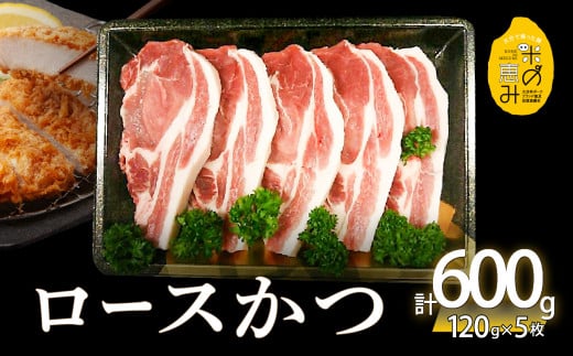 米の恵み ロースかつ 約120g×5枚  豚肉 ロースかつ 米の恵み 冷凍 旨味 ブランド豚 極上 大分市 国産 肉料理 A02011大分県大分市9000肉豚肉
