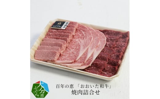 百年の恵 「おおいた和牛」 焼肉詰合せ約990g 牛肉 おおいた和牛 焼肉 詰め合わせ 豊後牛 ロース モモ カルビ 赤身 霜降り A01064大分県大分市56000肉牛肉