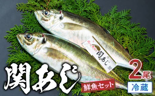関あじ(鮮魚セット)2尾 ブランド魚 アジ 鯵 関アジ 新鮮 天然 生魚 国産 大分産 寿司 刺身 刺し身 海鮮丼 E04023大分県大分市27000魚介・海産物鮮魚