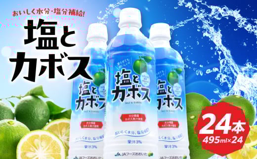 塩とカボス 495ml×24本 大分県 カボス 果汁 はちみつ さわやか スポーツドリンク 飲みやすい 水分補給 柑橘 清涼飲料水 I02059大分県大分市13000お茶・飲料果汁・野菜飲料