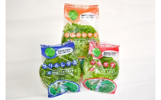 完全無農薬レタス 夢野菜詰め合わせ15袋セット サラダ菜 レタス サンドウィッチ 手巻き寿司 サラダ 新鮮 野菜 冷蔵 無農薬 カット野菜 F01003大分県大分市15000野菜・きのこその他 野菜