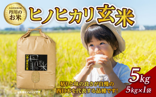 丹生米の里丹川のお米 ヒノヒカリ玄米 5kg 米 玄米 大分県 ご飯 食物繊維 美味しい お弁当 ブランド米 人気 玄米食 B02007大分県大分市11000米・パン玄米・雑穀米・もち米・餅
