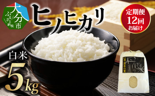 【定期便】丹生米の里 丹川のお米 ヒノヒカリ白米 5kg×12回お届け定期便 米 白米 精米 新米 ご飯 おにぎり お弁当 ブランド米 美味しい 定期便 B01024大分県大分市144000米・パン白米