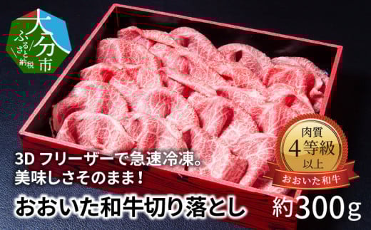 3Dフリーザーで急速冷凍。美味しさそのまま!おおいた和牛切り落とし 約300g 牛肉 和牛切り落とし 冷凍 赤身 霜降り ブランド牛 すき焼き しゃぶしゃぶ ギフト 極上 A01096大分県大分市23000
