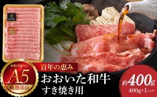 百年の恵み おおいた和牛A5 すき焼用【厳選部位】約400g 牛肉 和牛 すき焼き 厳選部位 豊後牛 極上 国産 もも ロース 肩ロース A01099大分県大分市14000肉牛肉