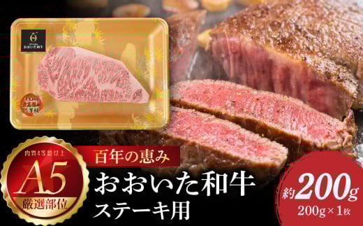 百年の恵み おおいた和牛A5 ステーキ用【厳選部位】約200g 牛肉 和牛 ステーキ用 ロース 肩ロース サーロイン 厳選部位 A5 霜降り 冷凍 A01103大分県大分市14000肉牛肉