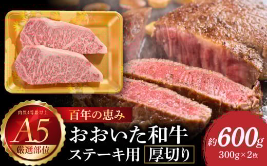 百年の恵み おおいた和牛A5 ステーキ用厚切り【厳選部位】約600g 牛肉 和牛 ステーキ 厚切り A5 霜降り 厳選部位 ロース サーロイン 肩ロース A01104大分県大分市35000肉牛肉