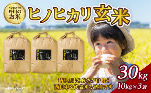 丹生米の里丹川のお米 ヒノヒカリ玄米 30kg 米 玄米 大分県産 ご飯 食物繊維 美味しい お弁当 ブランド米 人気 玄米食 B02010大分県大分市52000米・パン玄米・雑穀米・もち米・餅