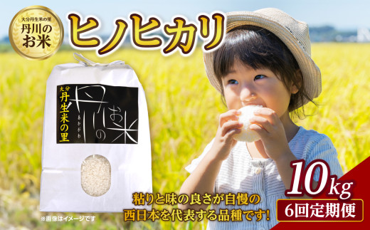 yցzOĂ̗ Ô qmqJ 10kg×6񂨓͂ 啪s O   V    uh ٓ T10031啪啪s120000āEp