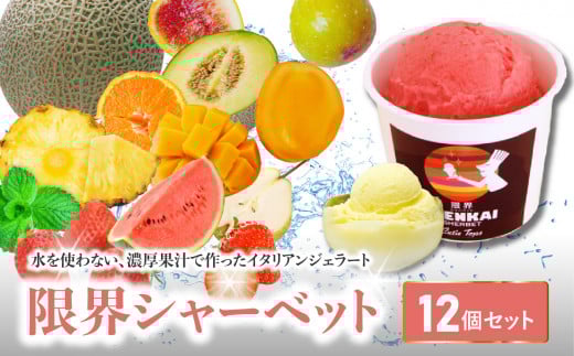限界シャーベット 12個セット 水不使用 デザート 味 旬 果物 ジェラート アイス フルーツ 果肉 大分 J06019大分県大分市30000菓子・スイーツアイス・ジェラート