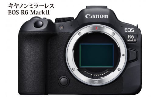Lm~[XJ EOS R6 Mark U 啪s J AEghA ~[X  f ^ vo ʐ^ Canon Lm R14150啪啪s1182000diƓd