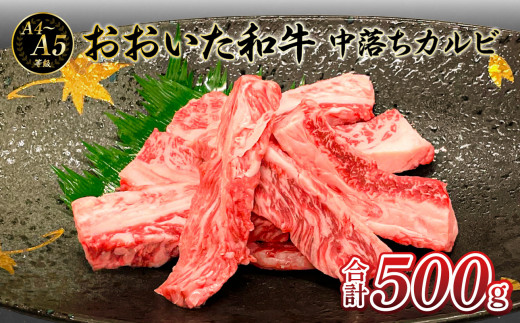 厳選A4〜A5等級 おおいた和牛 中落ちカルビ 500g  牛肉 和牛 中落ちカルビ 冷凍 霜降り 赤身 おおいた和牛 焼肉 大分県 大分市 A01133大分県大分市14000肉牛肉