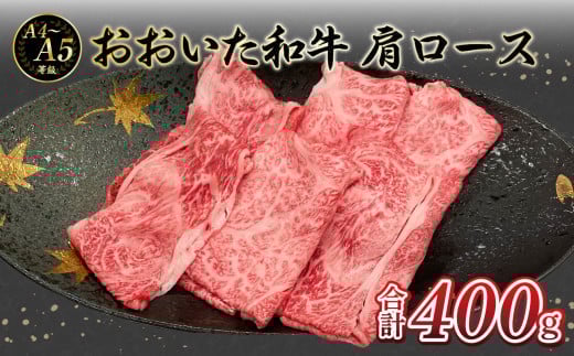 IA4`A5 a [XĂԂԗp 400g  a [X Ă Ԃ Ԑg Ⓚ 啪 a ~ A01132啪啪s21000