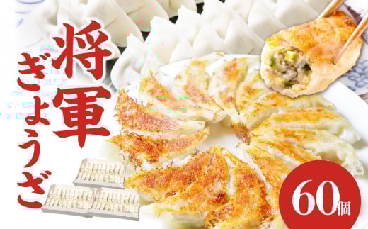 餃子専門店の餃子 将軍餃子 60個 餃子 ぎょうざ ギョーザ おかず 中華 料理 焼き餃子 惣菜 専門店 人気 A02033大分県大分市10000鍋セット・総菜・加工食品総菜