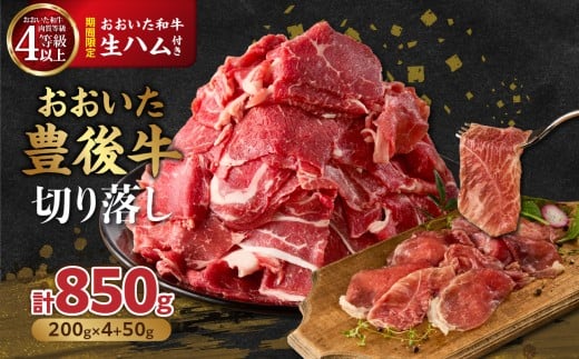 【期間限定】おおいた豊後牛切り落し 200g×4P+おおいた和牛生ハム 50g×1P 切り落とし 小分け 牛肉 肉 黒毛和牛 おおいた豊後牛 おおいた和牛 生ハム すき焼き 肉じゃが 牛丼 カレー A01149大分