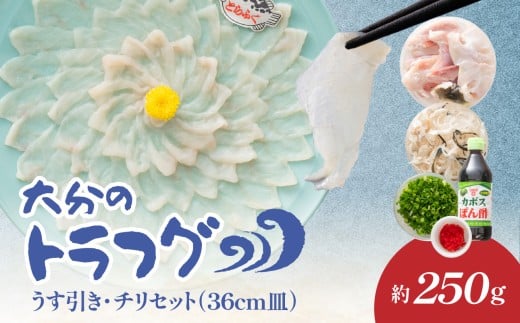 トラフグ うす引き・チリセット(36cm皿)【4月〜10月までお届け】 ふぐ フグ ふぐ刺し 薄引き ふぐちり ちり鍋 かぼす トラフグ 河豚 お祝い 記念日 カボスポン酢 アラ  E05030大分県大分市8700