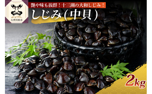 しじみ 十三湖産 大和しじみ(中貝)2kg(冷凍・砂抜き済)ヤマトシジミ青森県五所川原市14000魚介・海産物貝類