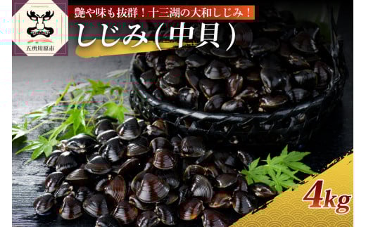 十三湖産 大和しじみ(中貝)4kg(冷凍・砂抜き済)青森県五所川原市25000魚介・海産物貝類