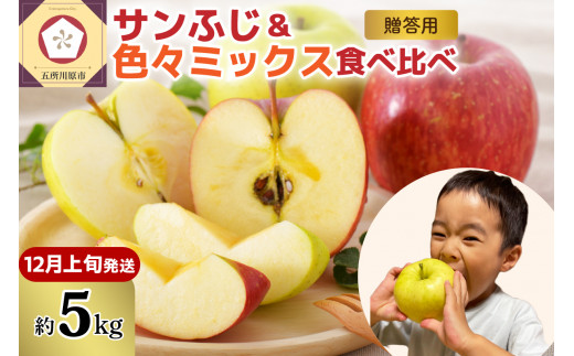 【2025年12月上旬発送】りんご青森産約5kg津軽から完熟サンふじ&色々ミックス贈答用青森県五所川原市22000果物・フルーツりんご・梨