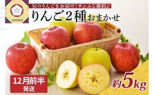 【2025年12月前半発送】 りんご 青森産 約5kg サンふじ 確約 品種おまかせ2種以上 贈答用 特選〜特秀青森県五所川原市24000果物・フルーツりんご・梨