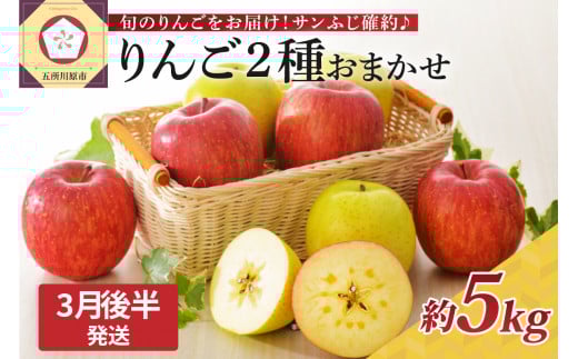 【2026年3月後半発送】 りんご 青森産 約5kg サンふじ 確約 品種おまかせ2種以上 贈答用 特選〜特秀青森県五所川原市24000果物・フルーツりんご・梨