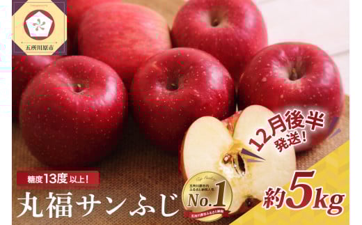 【2025年12月後半発送】 りんご 青森産 約5kg 丸福 サンふじ 光センサー 選果 糖度 13度以上青森県五所川原市18000果物・フルーツりんご・梨