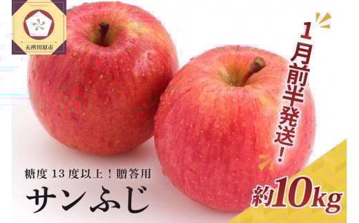 【2026年1月前半発送】 りんご 約10kg サンふじ 青森産 糖度 13度以上 贈答用 特選〜特秀青森県五所川原市33000果物・フルーツりんご・梨