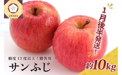 【2026年1月後半発送】 りんご 約10kg サンふじ 青森産 糖度 13度以上 贈答用 特選〜特秀青森県五所川原市33000果物・フルーツりんご・梨