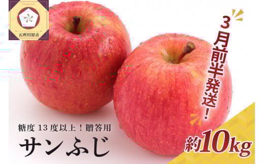 【2026年3月前半発送】 りんご 約10kg サンふじ 青森産 糖度 13度以上 贈答用 特選〜特秀青森県五所川原市33000果物・フルーツりんご・梨