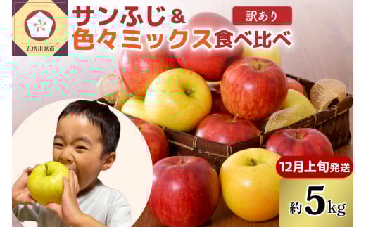 【2025年12月上旬発送】【訳あり】りんご5kg青森産家庭用完熟サンふじ&色々ミックス青森県五所川原市17000果物・フルーツりんご・梨