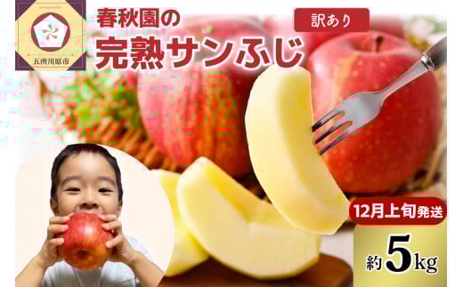 【2025年12月上旬発送】【訳あり】りんご5kg青森産春秋園の家庭用完熟サンふじ青森県五所川原市17000果物・フルーツりんご・梨