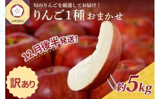 【2025年12月後半発送】 【訳あり】 りんご 青森産 約5kg 品種おまかせ1種青森県五所川原市18000果物・フルーツりんご・梨