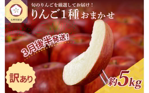 【2026年3月後半発送】 【訳あり】 りんご 青森産 約5kg 品種おまかせ1種青森県五所川原市18000果物・フルーツりんご・梨