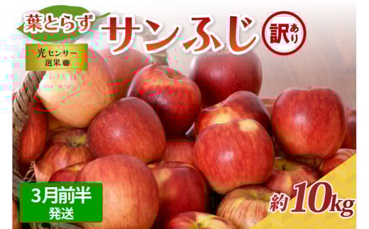 【2026年3月前半発送】【訳あり】 りんご 約10kg サンふじ 葉とらず 青森産青森県五所川原市22000果物・フルーツりんご・梨